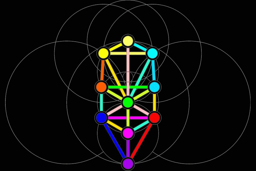 Flashing colors in the tree of life