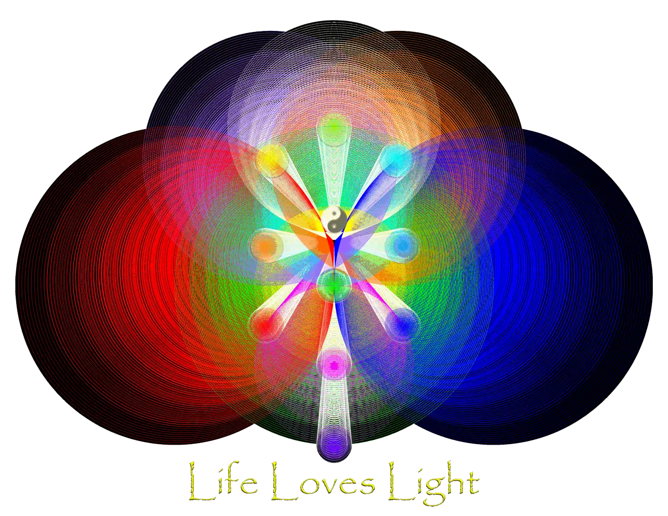 Life Loves Light