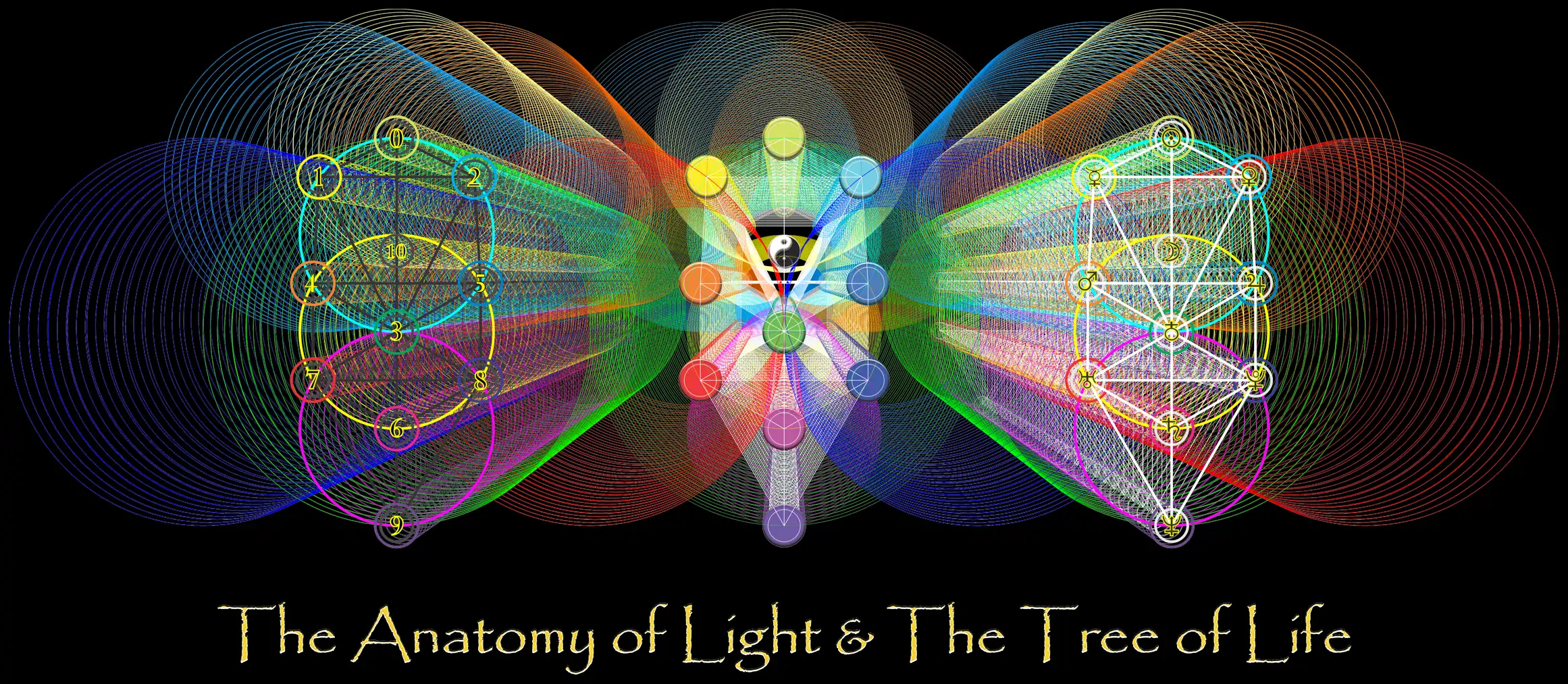 The Anatomy of Light & The Tree of Life