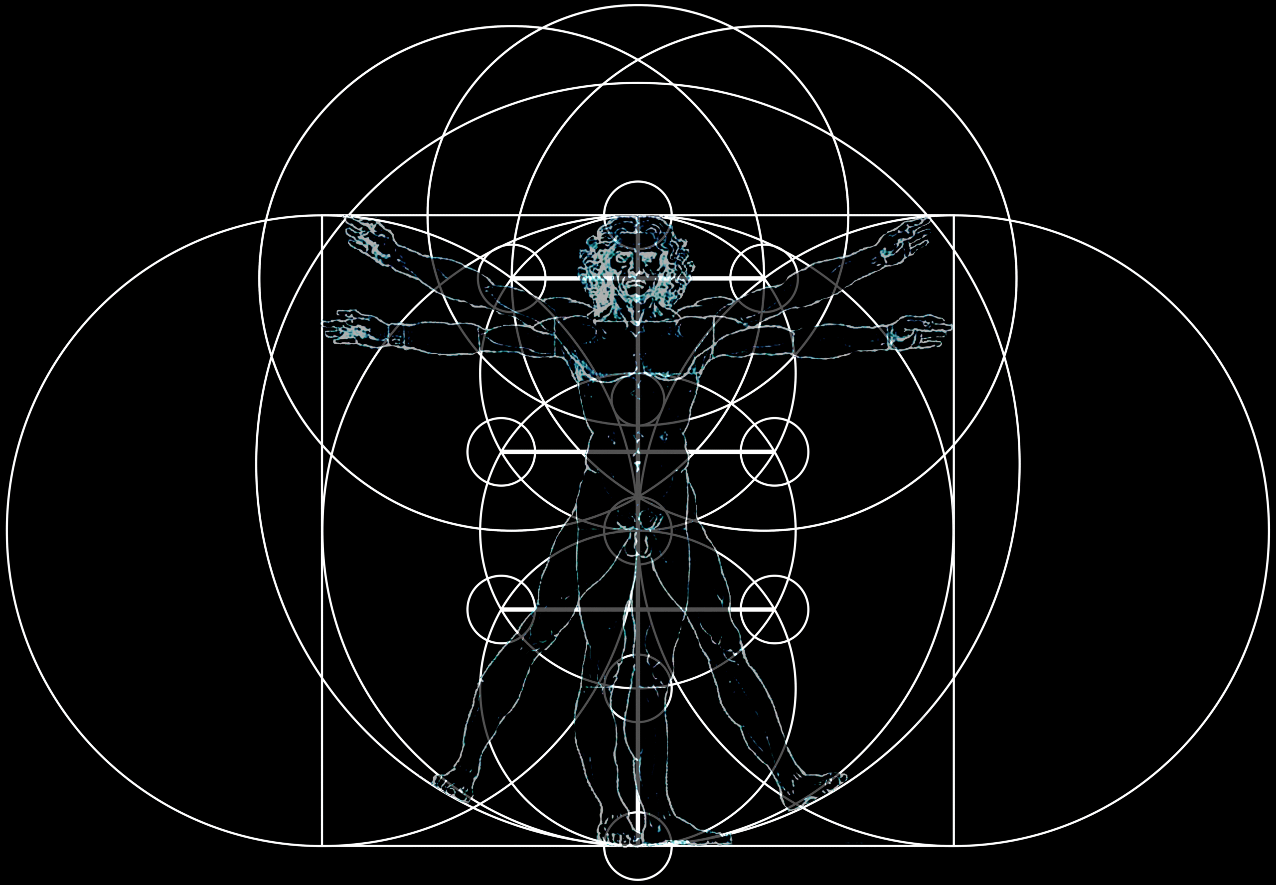 Vitruvian Man